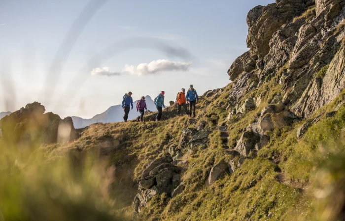 A hiking group enjoying a summer hike in the mountains