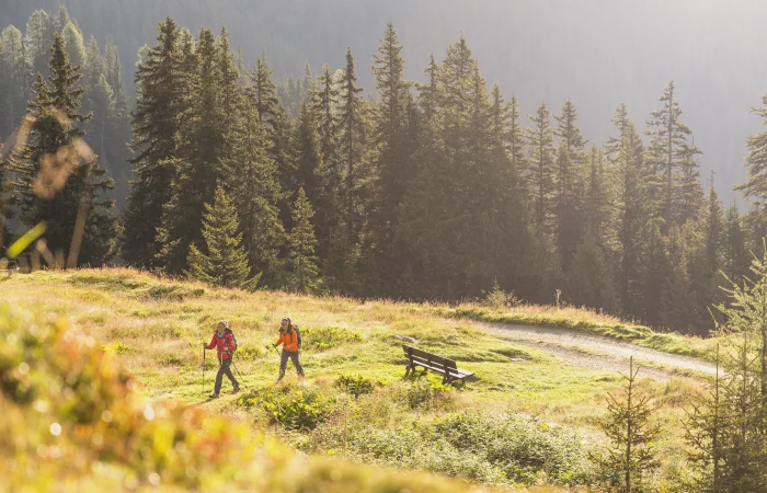 Wandergruppe genießt Sommerwanderung in den Bergen