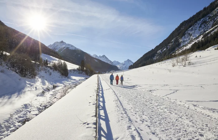 Berglandschaft im Schnee